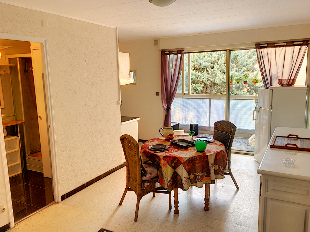 Appartement - BORMES LES MIMOSAS