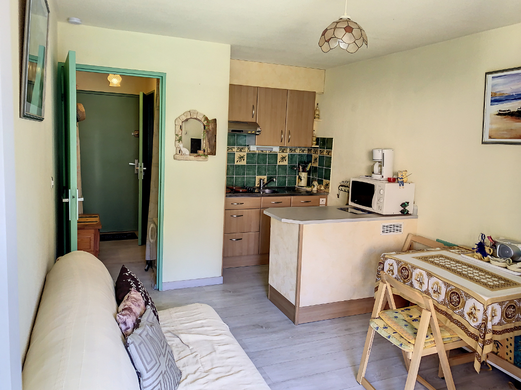 Appartement - BORMES LES MIMOSAS