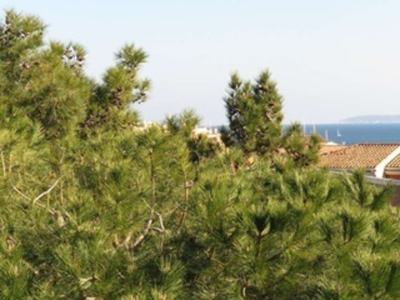 Location Beau toit terrasse traversant climatisé avec petite vue mer à 100m de la mer.